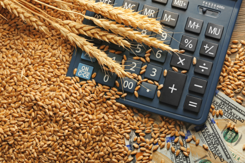 Wheat grains, calculator, and cash on a wooden background